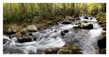 Up the Creek Panorama by Danny Head art print