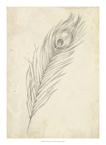 Peacock Feather Sketch II by Ethan Harper art print