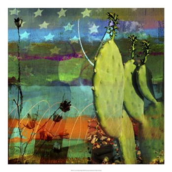 Cactus &amp; Flag Collage by Sisa Jasper art print