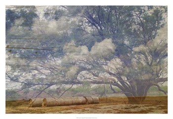 Texas Tree Collage by Sisa Jasper art print