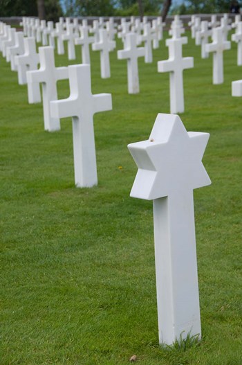 France, Normandy, WWII cemetery by Cindy Miller Hopkins / Danita Delimont art print