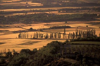 Gordes Countryside, Vaucluse, France by Walter Bibikow / Danita Delimont art print