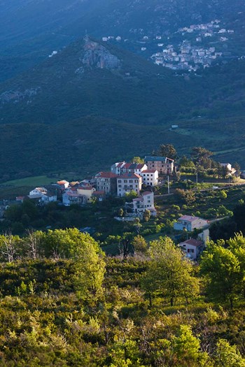Nebbio Landscape, Murato, France by Walter Bibikow / Danita Delimont art print