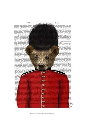 Guardsman Bear by Fab Funky art print