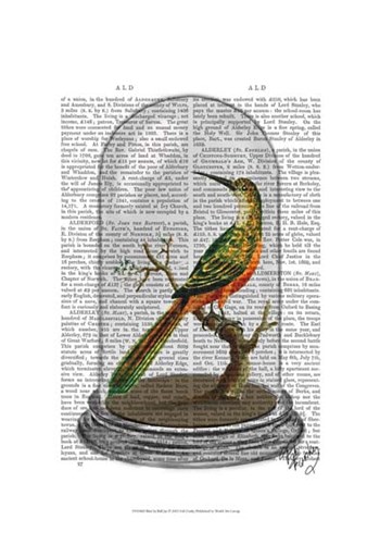 Bird In Bell Jar by Fab Funky art print