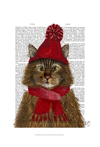 Maine Coon Cat by Fab Funky art print