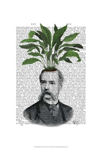 Aspidistra Head Plant Head by Fab Funky art print