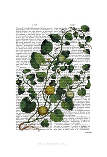 Squash Vine 4 by Fab Funky art print