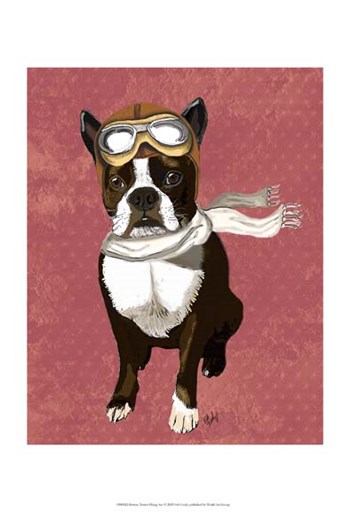 Boston Terrier Flying Ace by Fab Funky art print