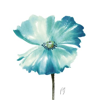 Poppies Tempo II by Pamela Gladding art print