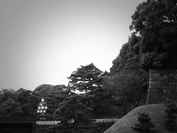 Tokyo Imperial Palace by Naxart art print