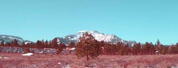 Mammoth Mountain by Naxart art print