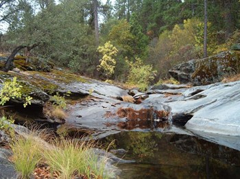 Lake In The Forest 1 by Naxart art print