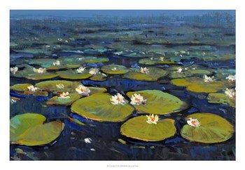 Lily Pads II by Timothy O&#39;Toole art print