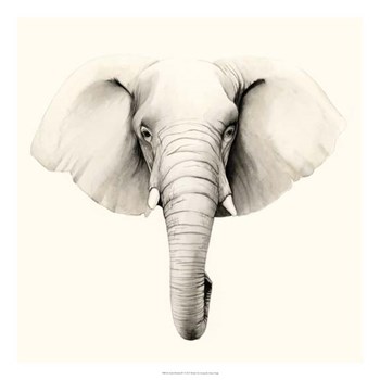 Safari Portrait IV by Grace Popp art print