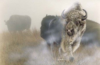 White Mist by Gordon Semmens art print