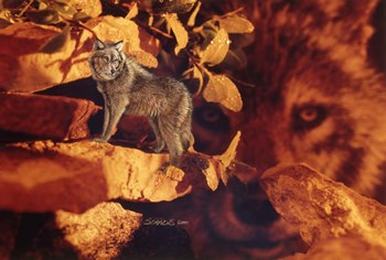 Sentinel by Gordon Semmens art print