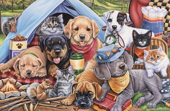Camping Buddies by Jenny Newland art print