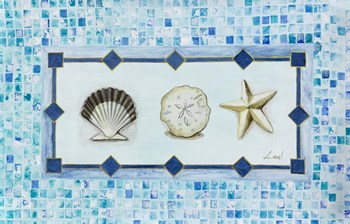 Sea Shell Trio by Pablo Esteban art print