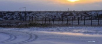 Early Morning Winter by Amanda Lee Smith art print