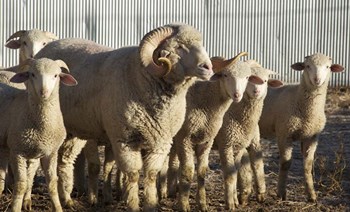 When I&#39;m Older by Amanda Lee Smith art print