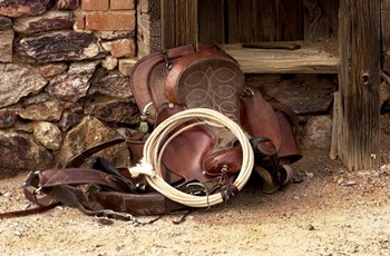 Head Wrangelrs Saddle by Amanda Lee Smith art print