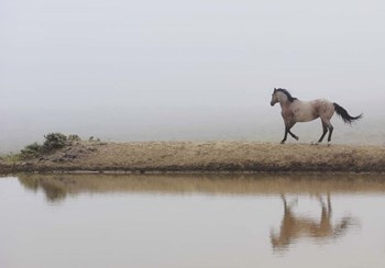 Mystical Beauty by Amanda Lee Smith art print