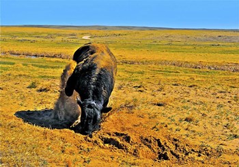 Saturated Sand by Amanda Lee Smith art print