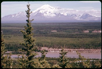 Mt Drum by American Eyes art print