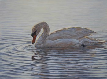 Dribbling Swan by Bruce Dumas art print