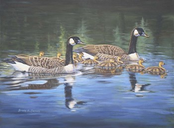 Spring Training by Bruce Dumas art print