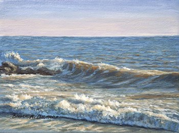 Catch The Wave by Bruce Dumas art print