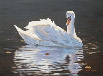 Illuminated Swan by Bruce Dumas art print
