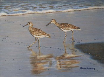 Shore Walkers by Bruce Dumas art print