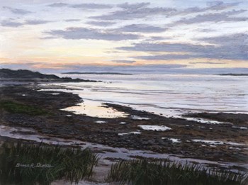 Fading Llight by Bruce Dumas art print