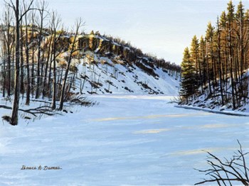 Mirror Lake by Bruce Dumas art print