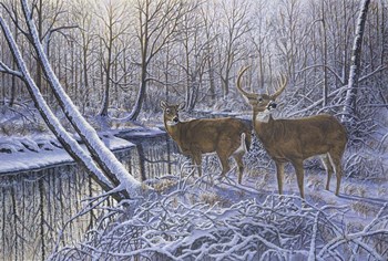 On Alert by Bruce Dumas art print