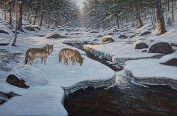 Rocky River Wolves by Bruce Dumas art print