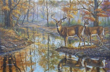 Brookside Retreat - Whitetails by Bruce Dumas art print