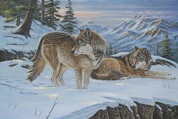 Vantage Point Wolves by Bruce Dumas art print