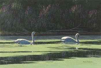 Lovers Cruise by Bruce Dumas art print