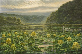 Westerly Pond by Bruce Dumas art print