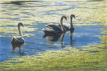 Three's Company by Bruce Dumas art print