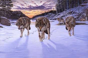 Born To Be Wild by Bruce Dumas art print