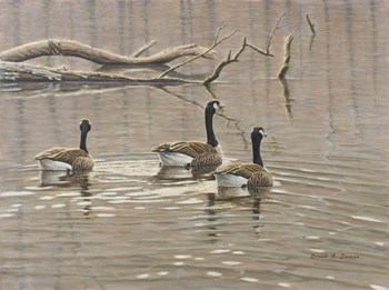 Early Spring Geese Trio by Bruce Dumas art print