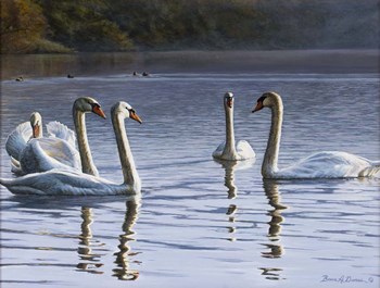 Hanover Swans Five by Bruce Dumas art print