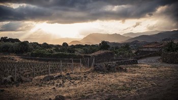 The Light by Giuseppe Torre art print