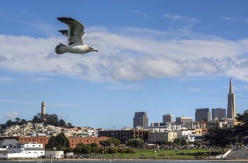Over SF by Giuseppe Torre art print