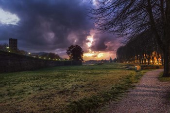 Walk in the Park by Giuseppe Torre art print