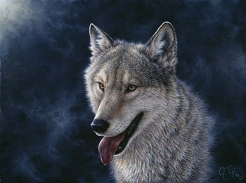 Wolf by Jeff Tift art print
